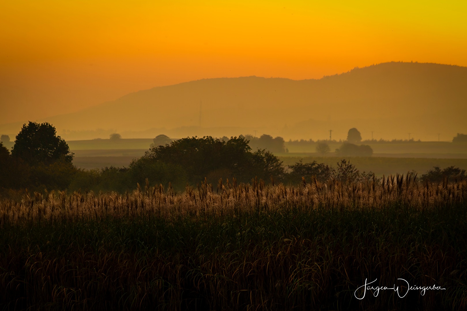 Südpfalz im Abendlicht