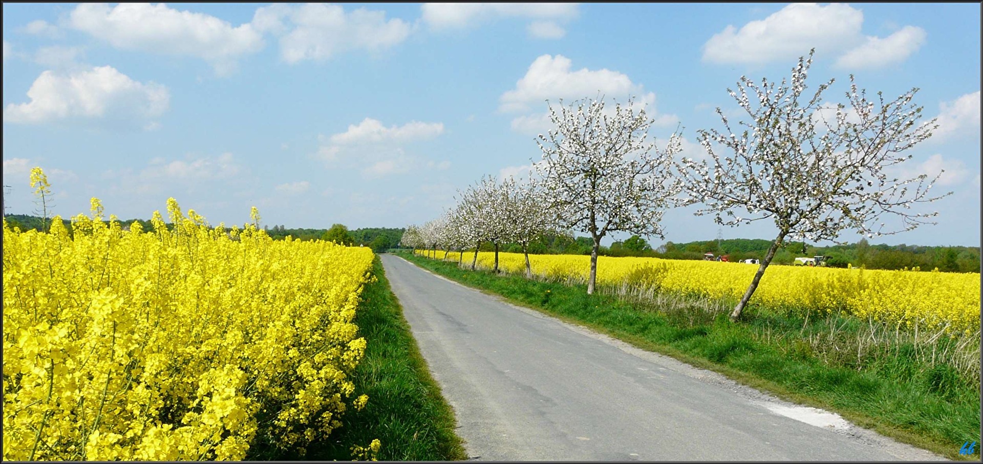 Blühende Landschaften