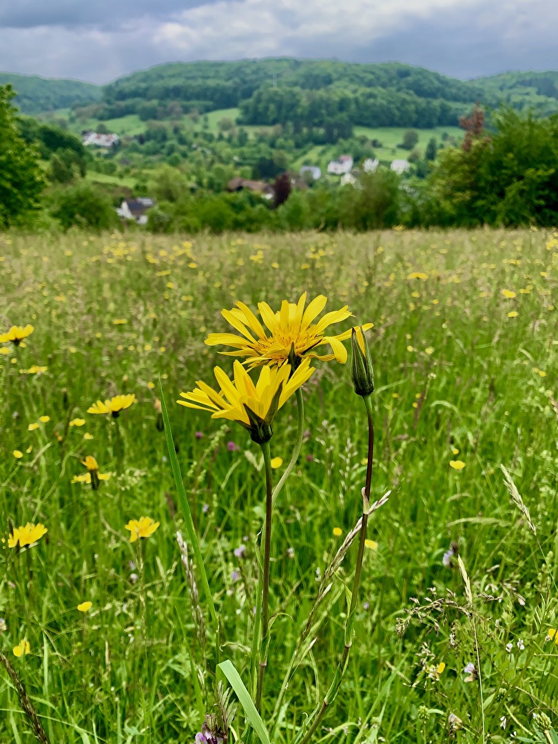 Er ist nicht alleine