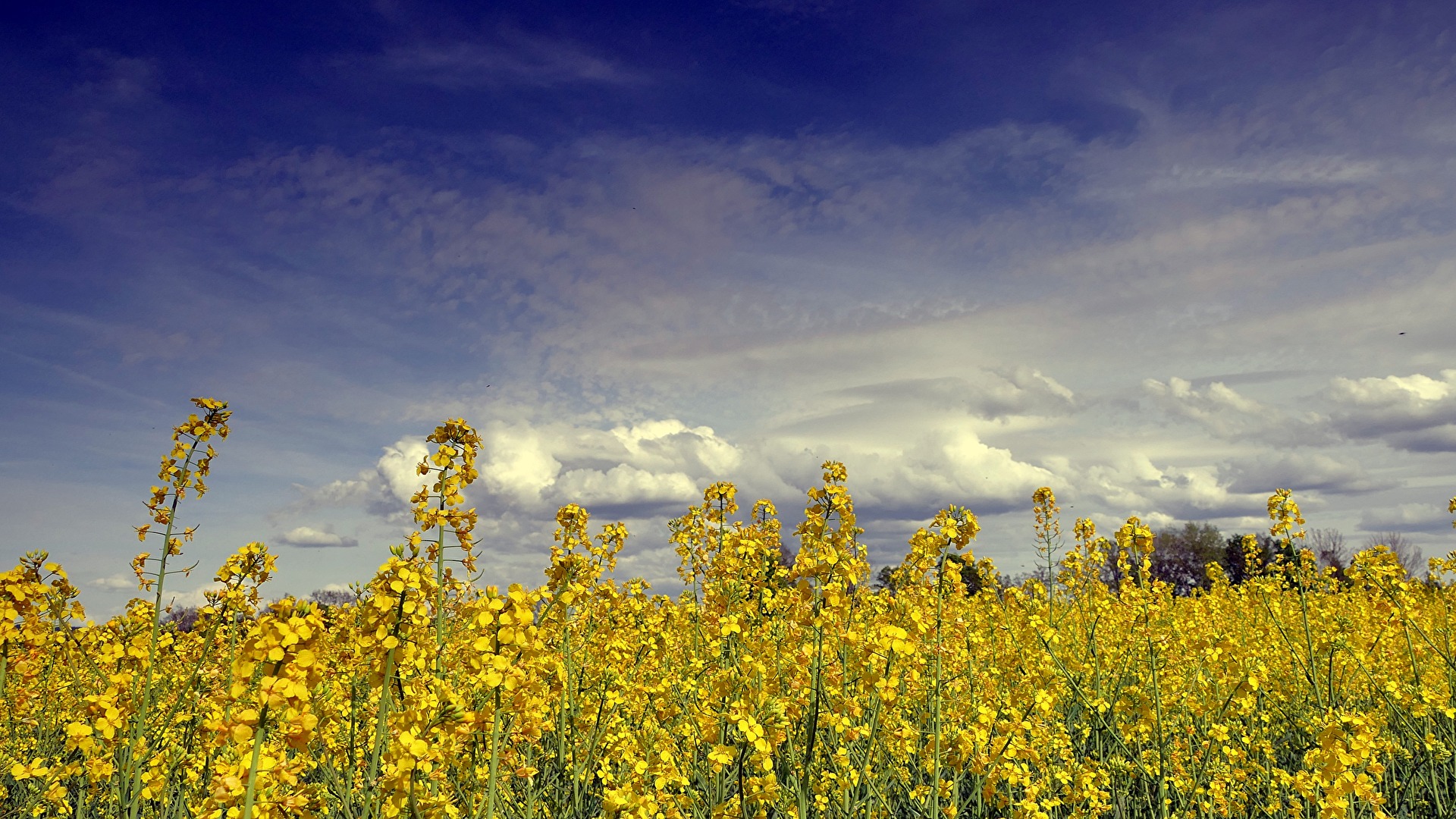Fast schon Sommerwetter
