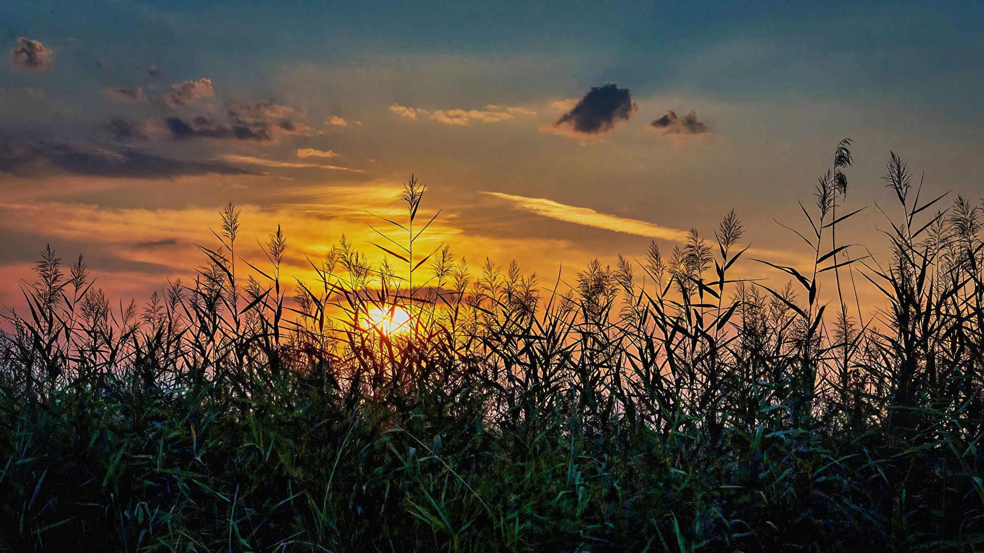 Sonnenuntergang