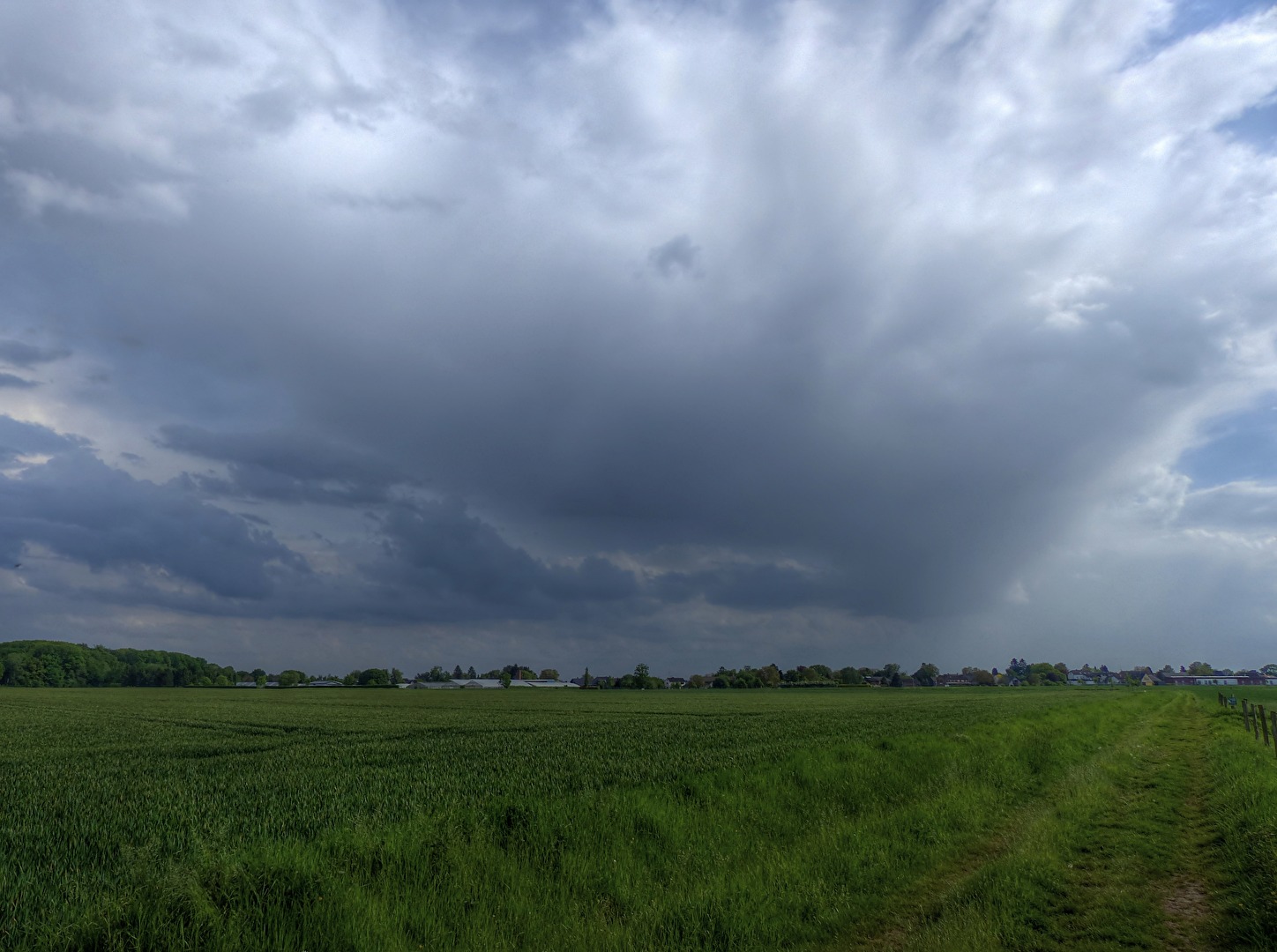 Die Wolke