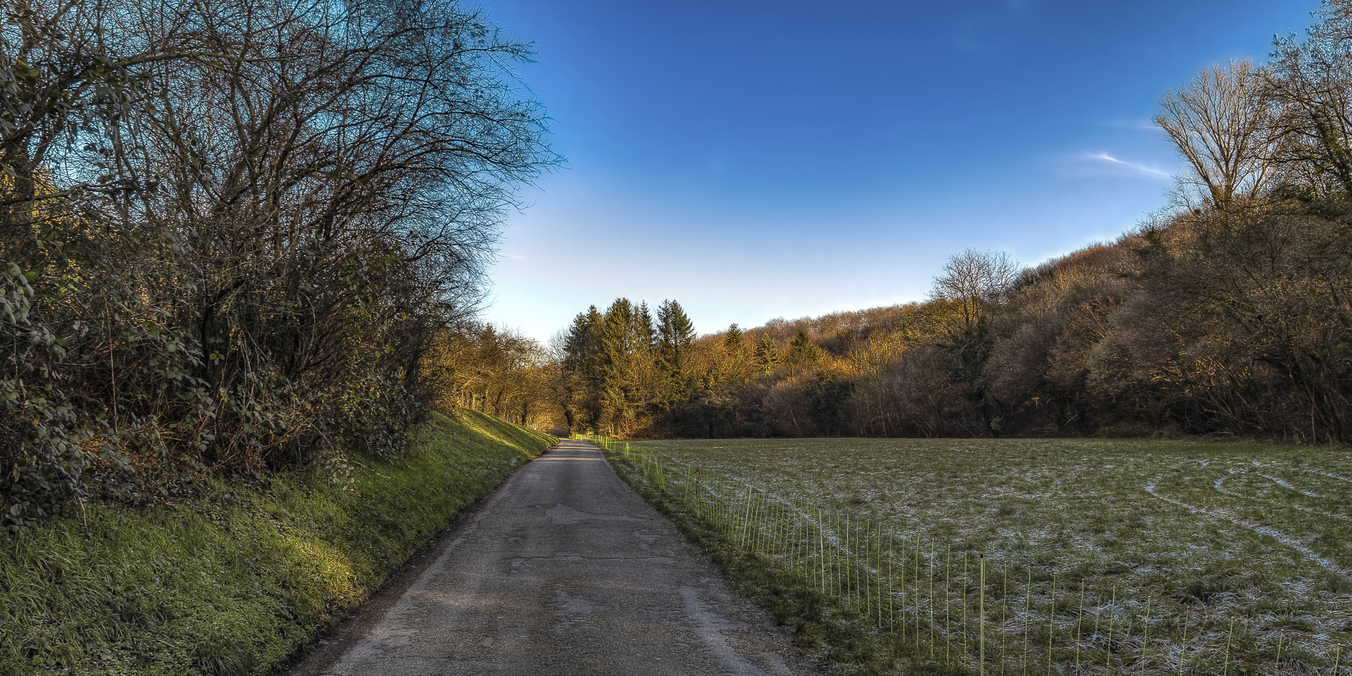 Winterlicht