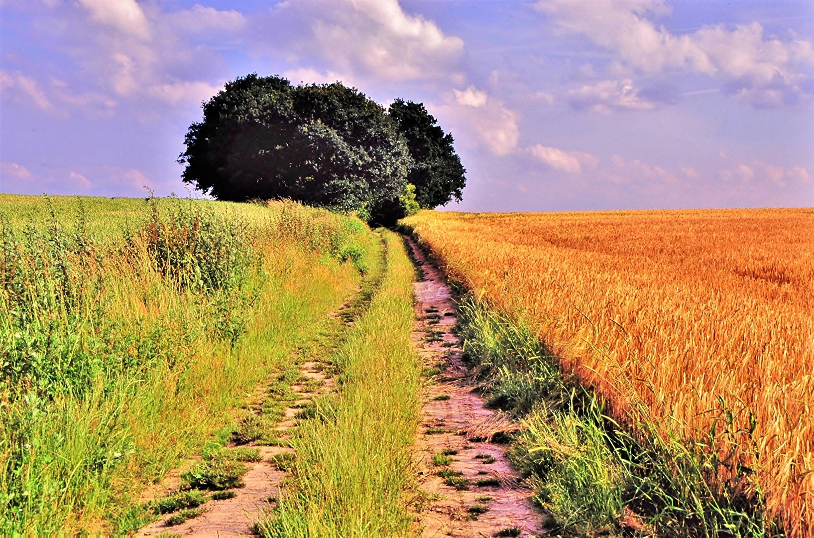 " Der Weg ist das Ziel "