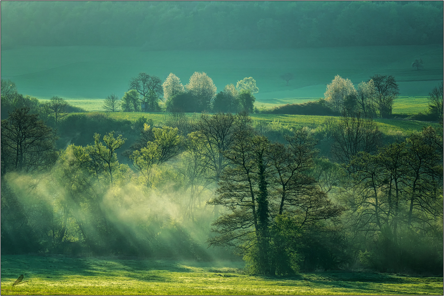 fifty shades of green