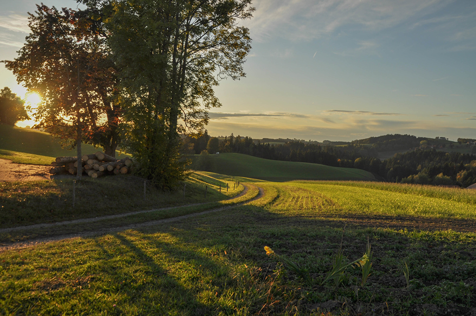 Oktobersonne