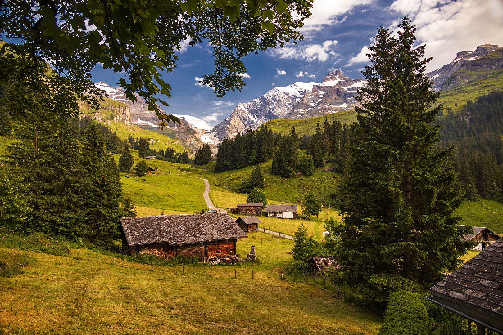 Heidi-Land