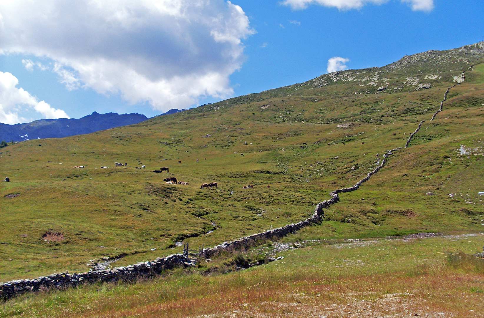 Grenzlinie Trockenmauer in Südtirol
