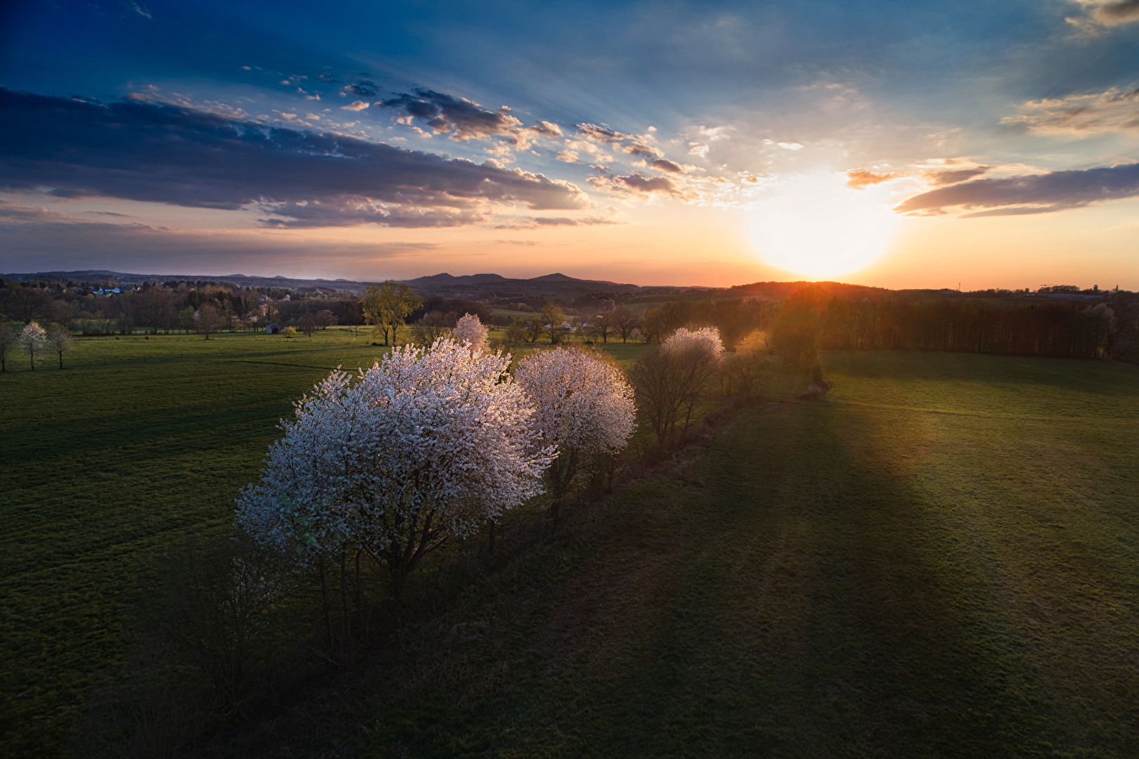 Sonnenuntergang mit alten Obstbäumen