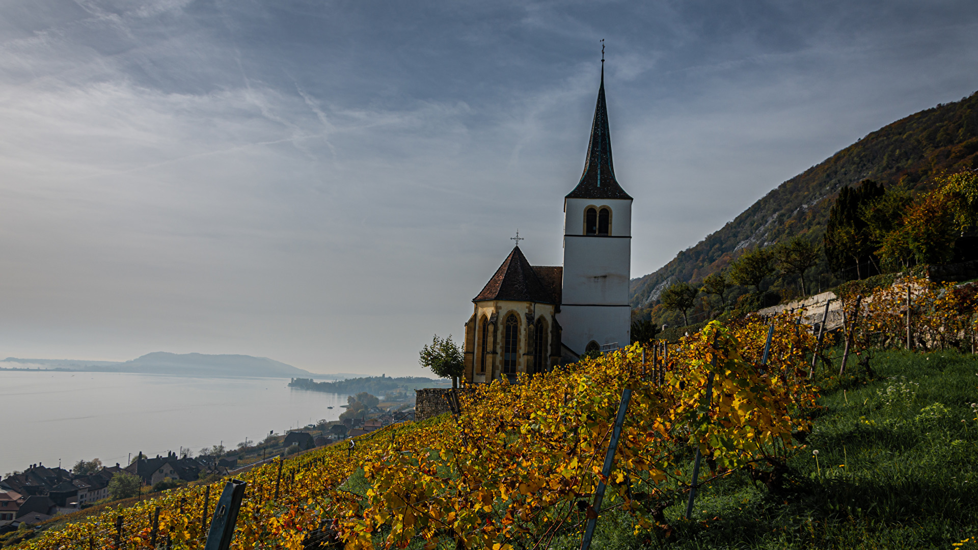 Weinberge & Obstbau