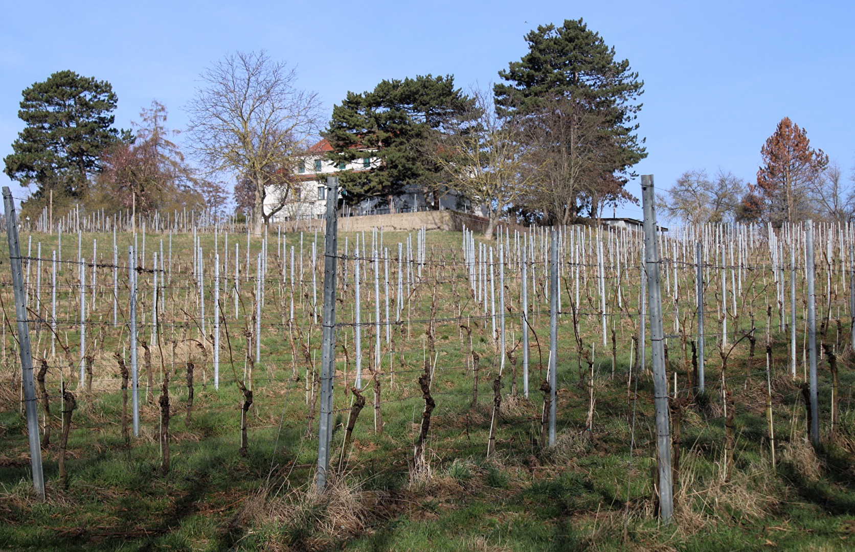 Naumburger Paradies, ehem. Forstamt