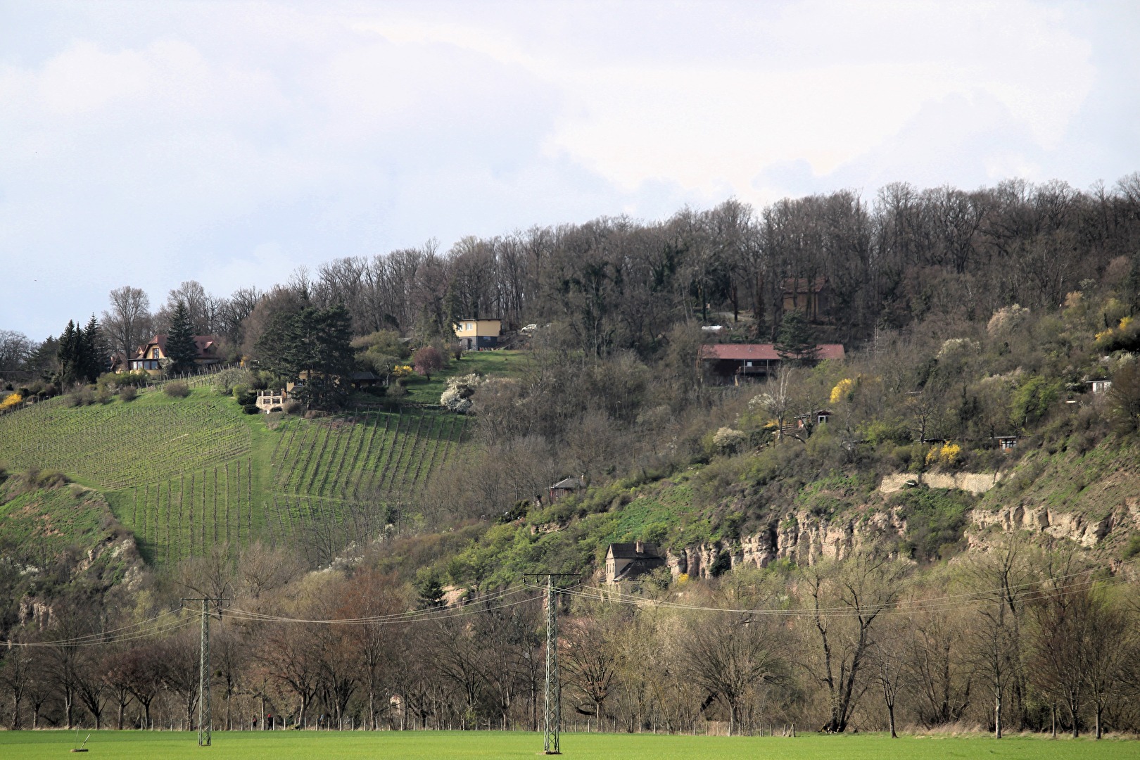 Weinberge und Felsen