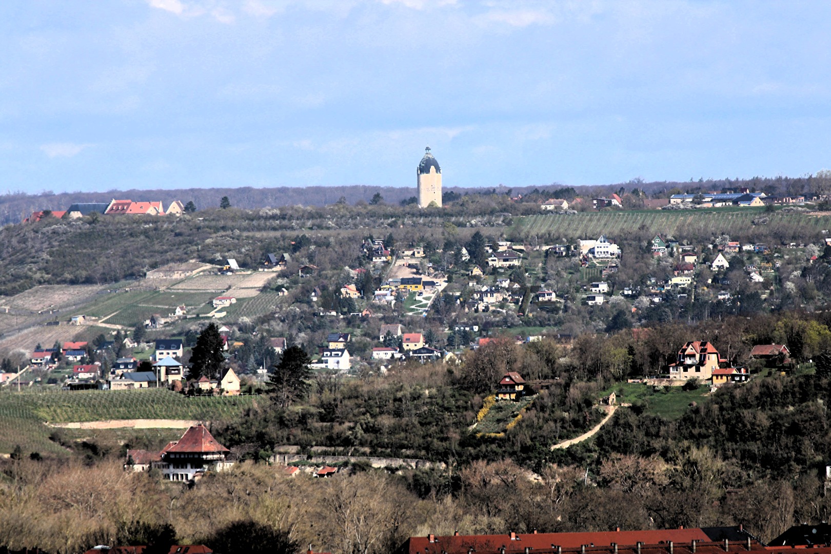 Weingegend Saale-Unstrut