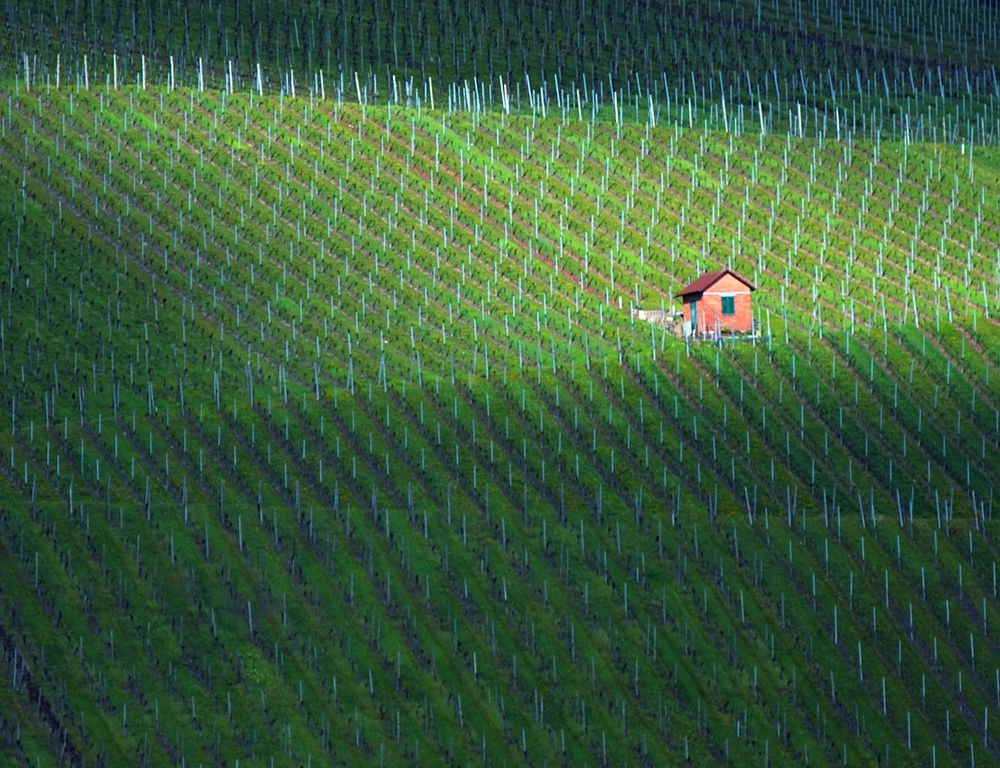 Nach Regen kommt auch wieder Sonnenschein