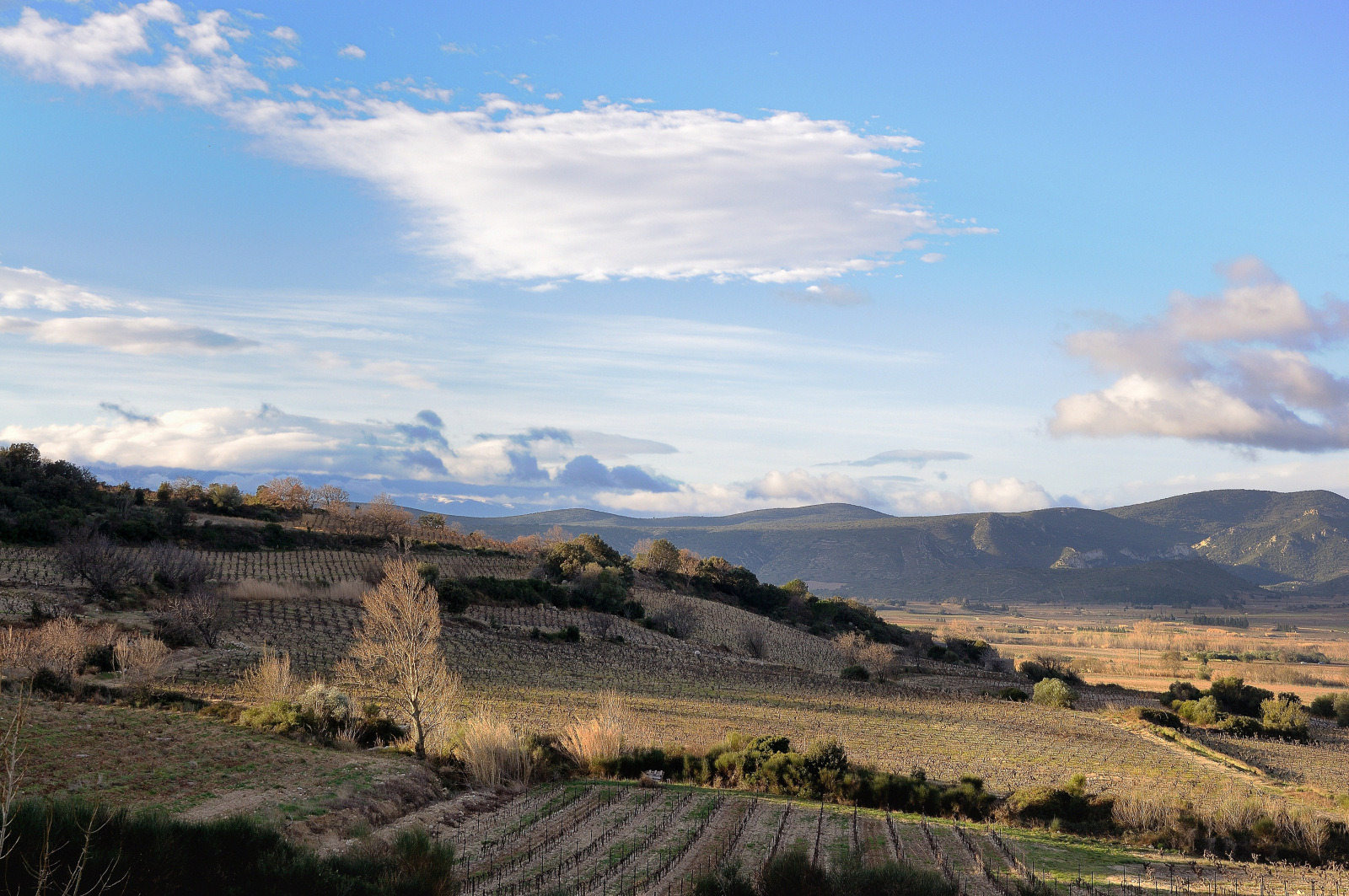 Wein im Bergland der Corbières