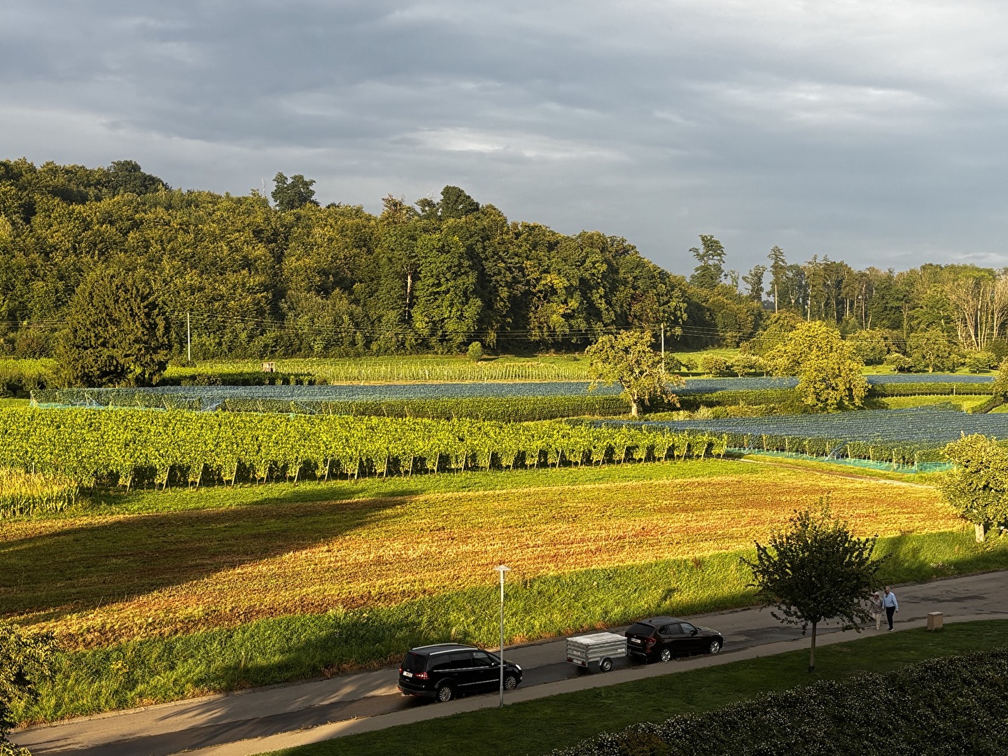 Abendgruß der Sonne