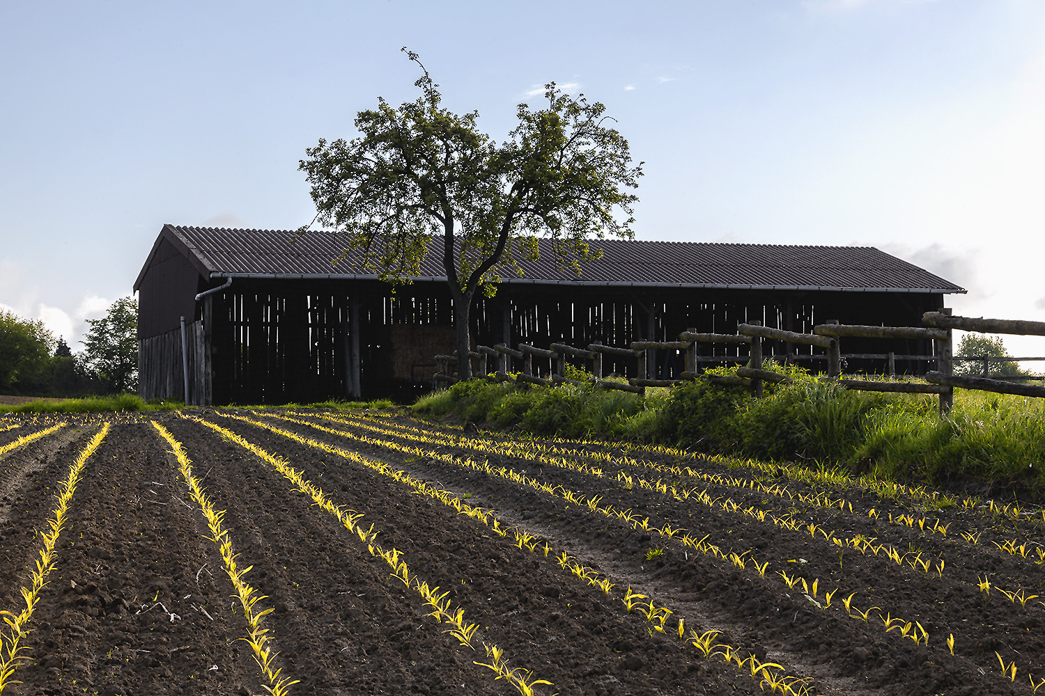 RAUSCHENBURG / Olfen