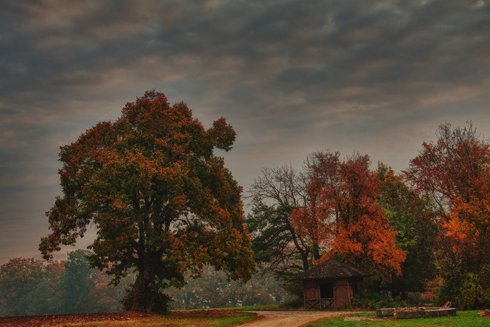 Herbst bei uns auf der alb