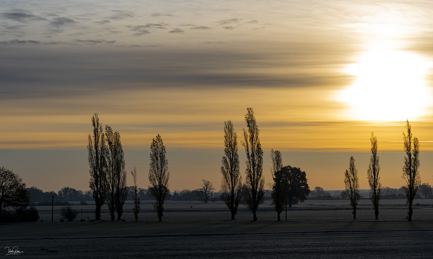 Sonnenaufgang in Wörlitz