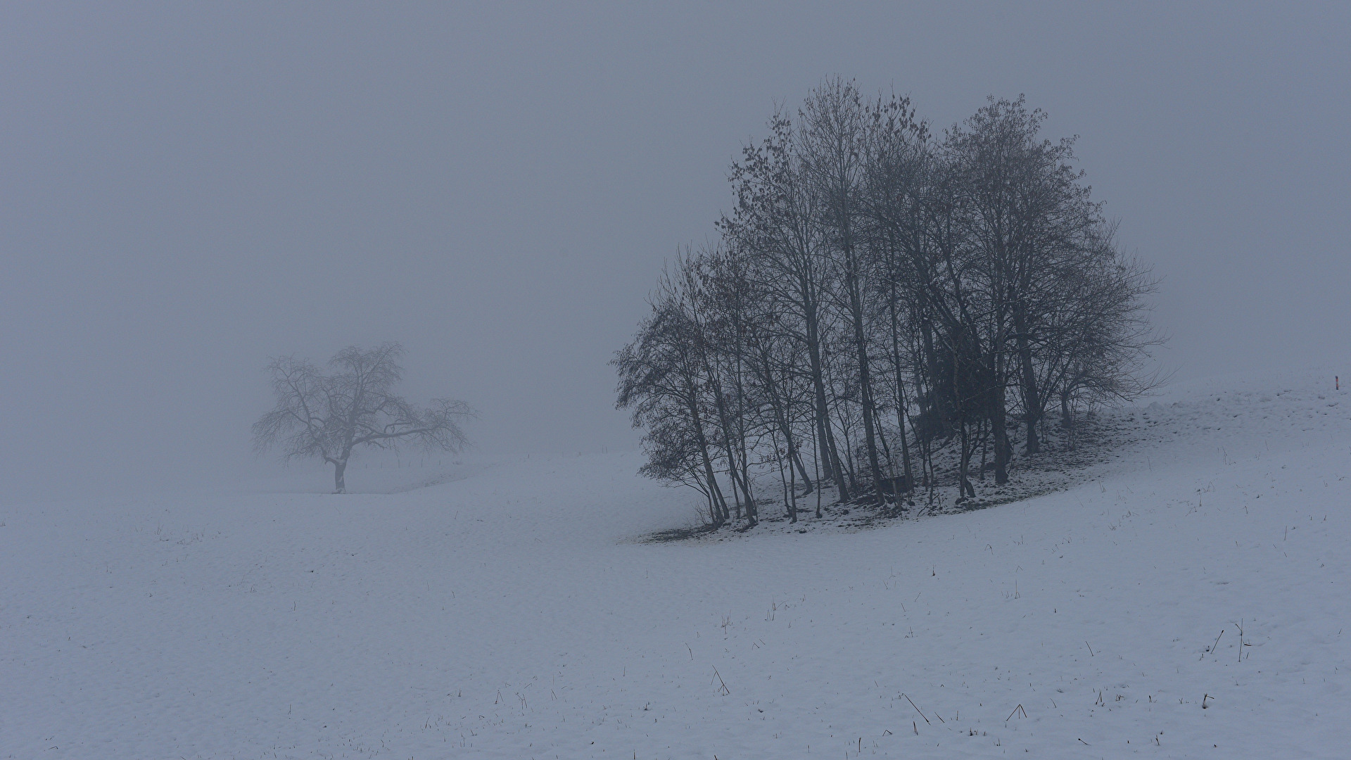 Im Nebel versunken