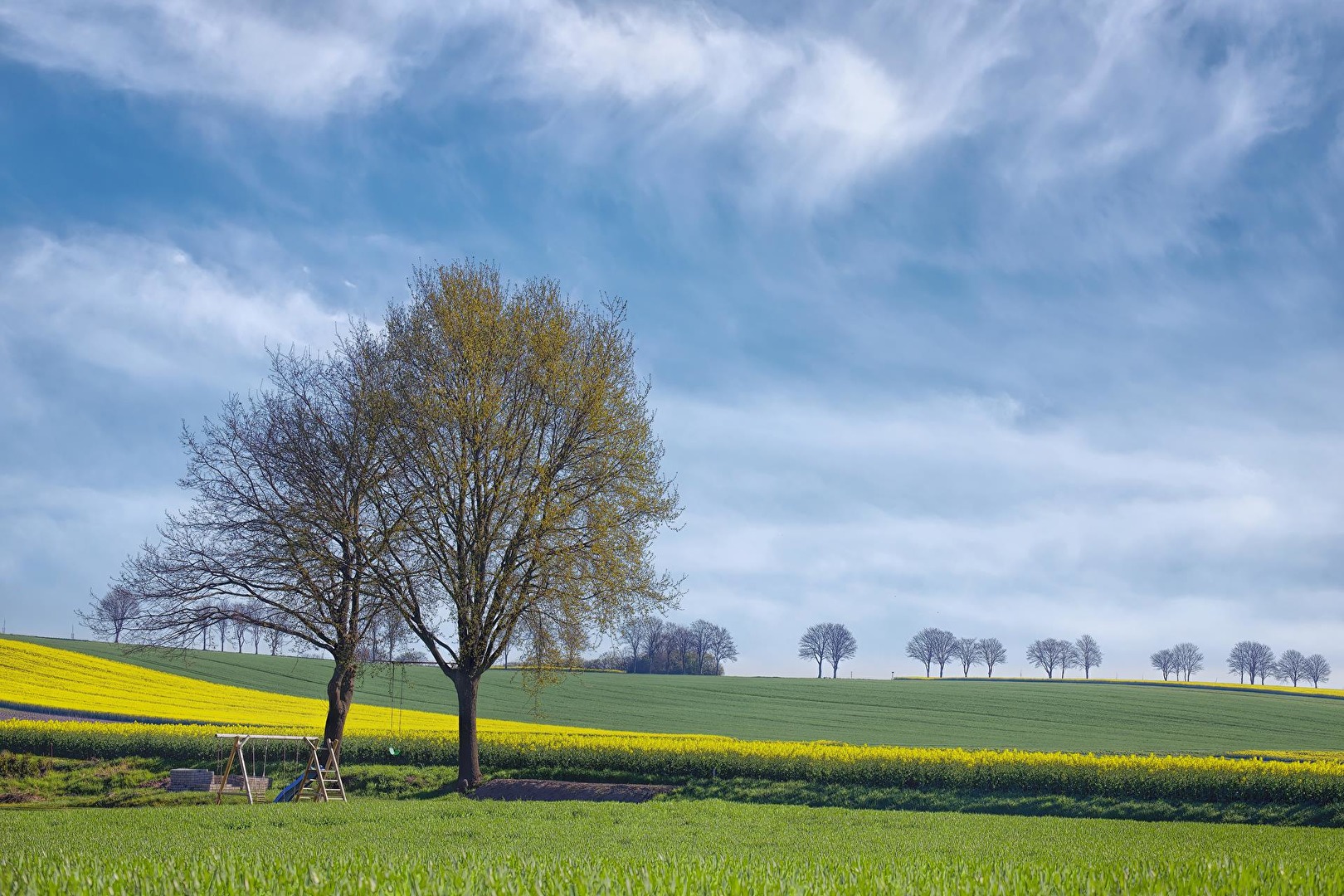 Frühling 2