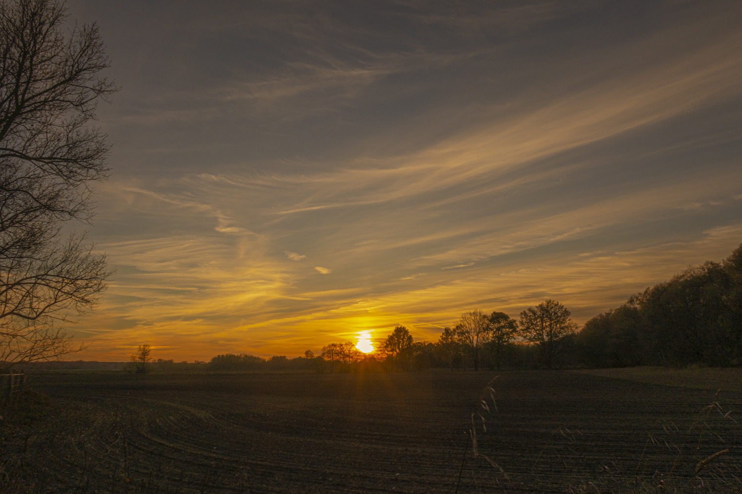 sunset