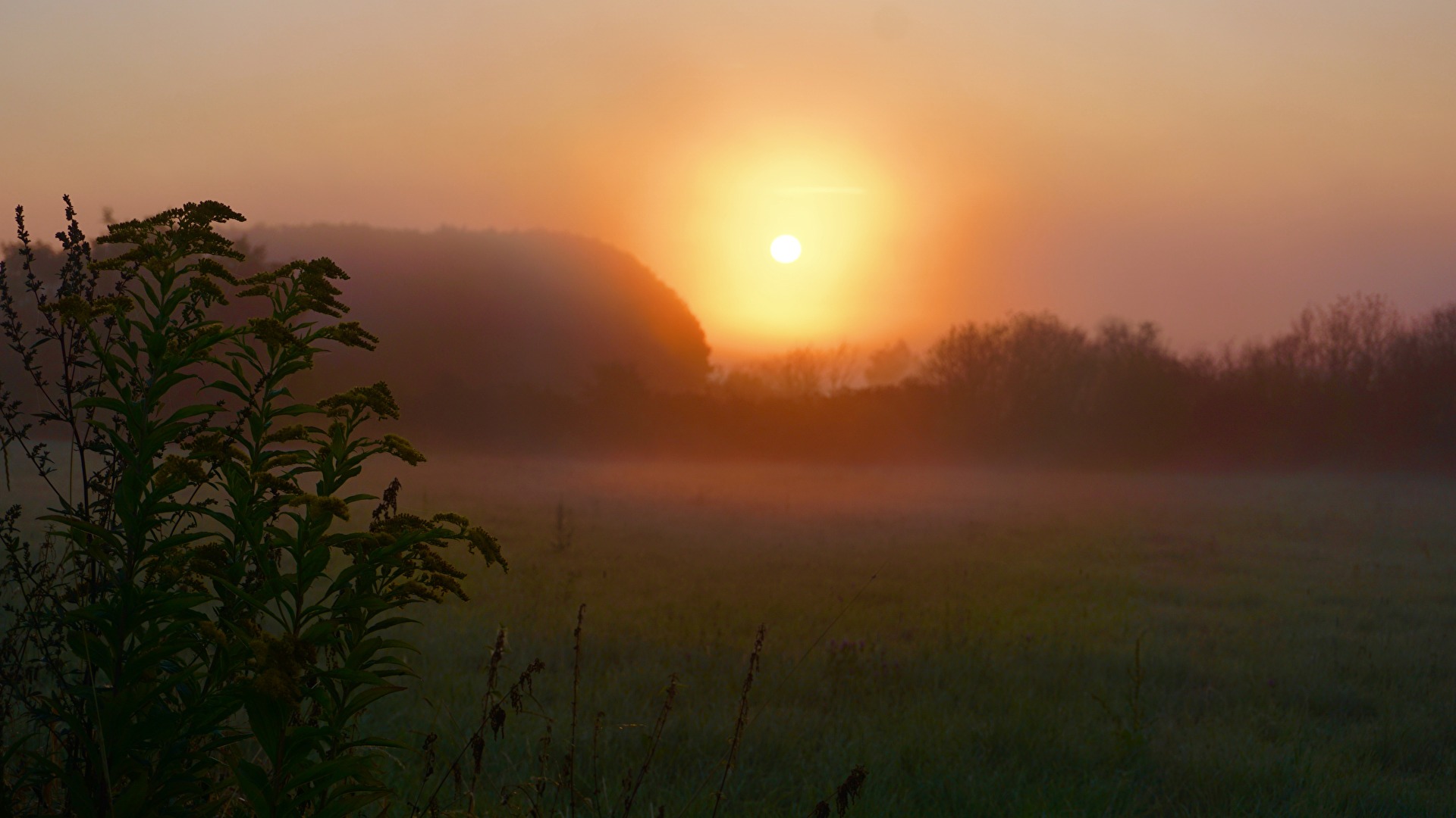 Novembernebel 2