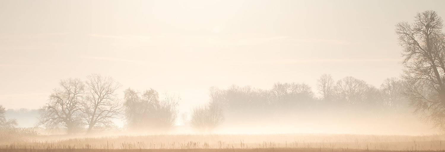 Frühnebel dieser Tage