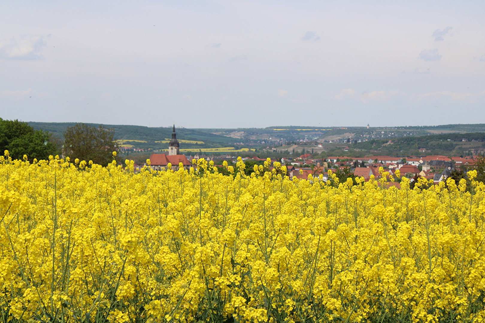 Raps vor der Stadt