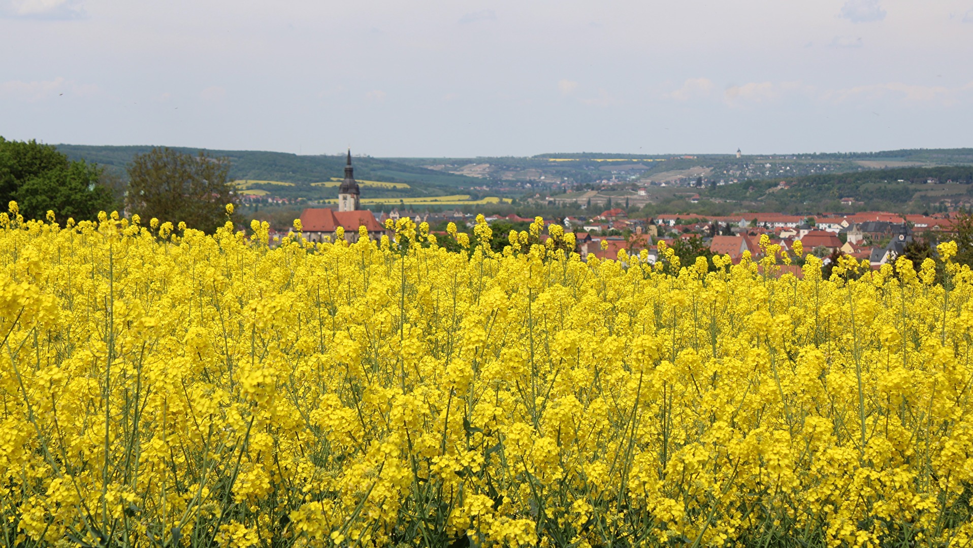 Raps vor der Stadt