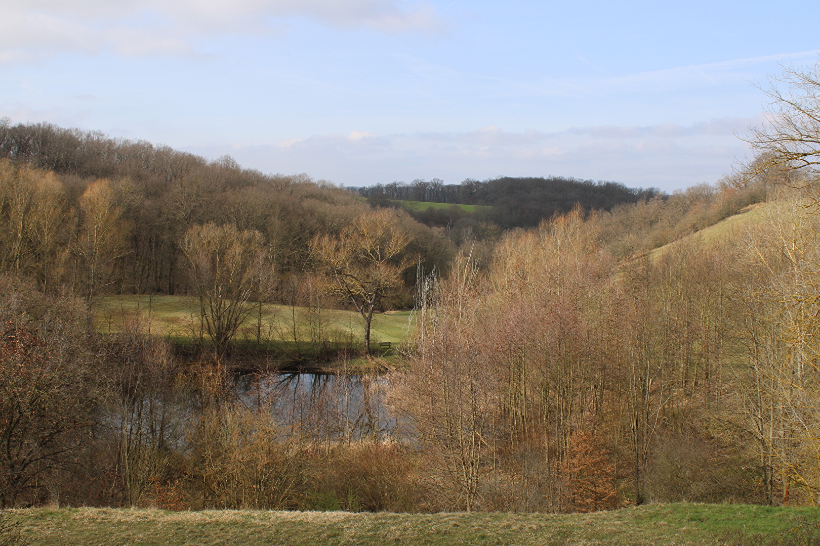 Biotop bei Mertendorf