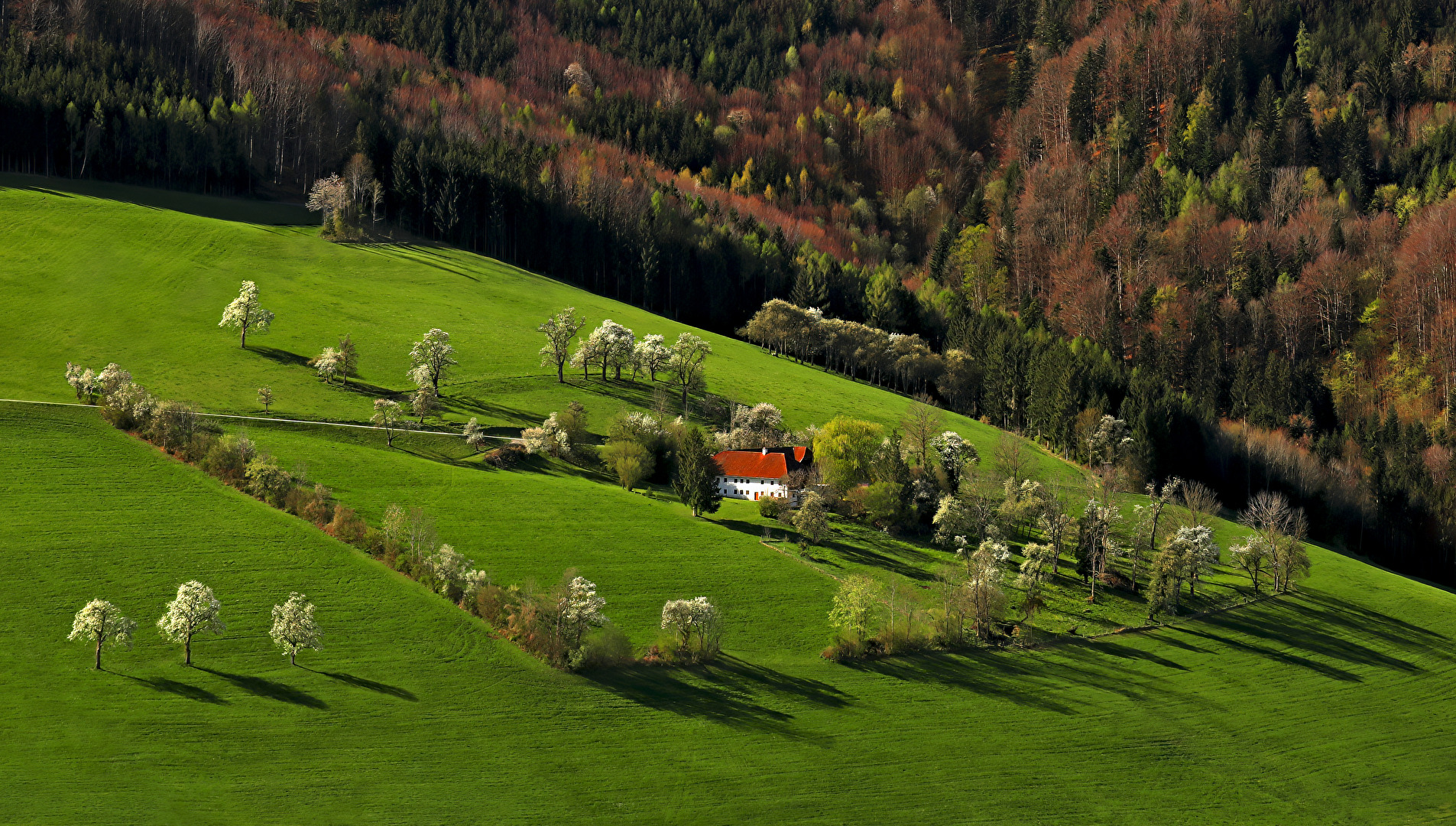 #Landschaften