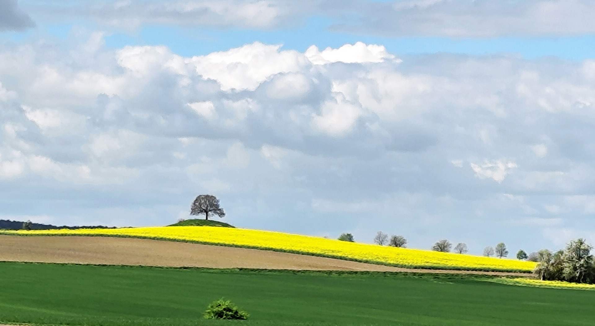 auf dem Berg