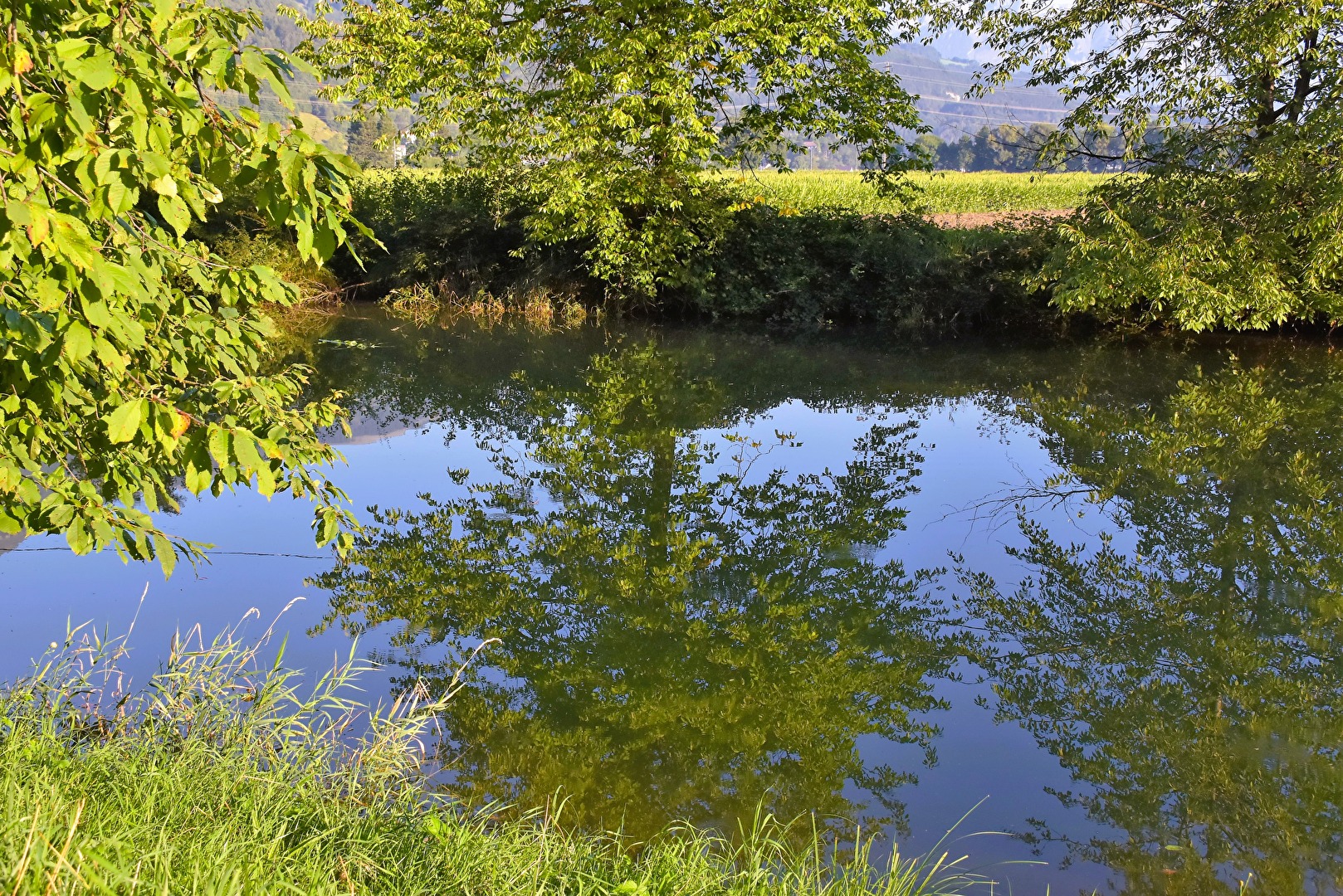 Lebensräume