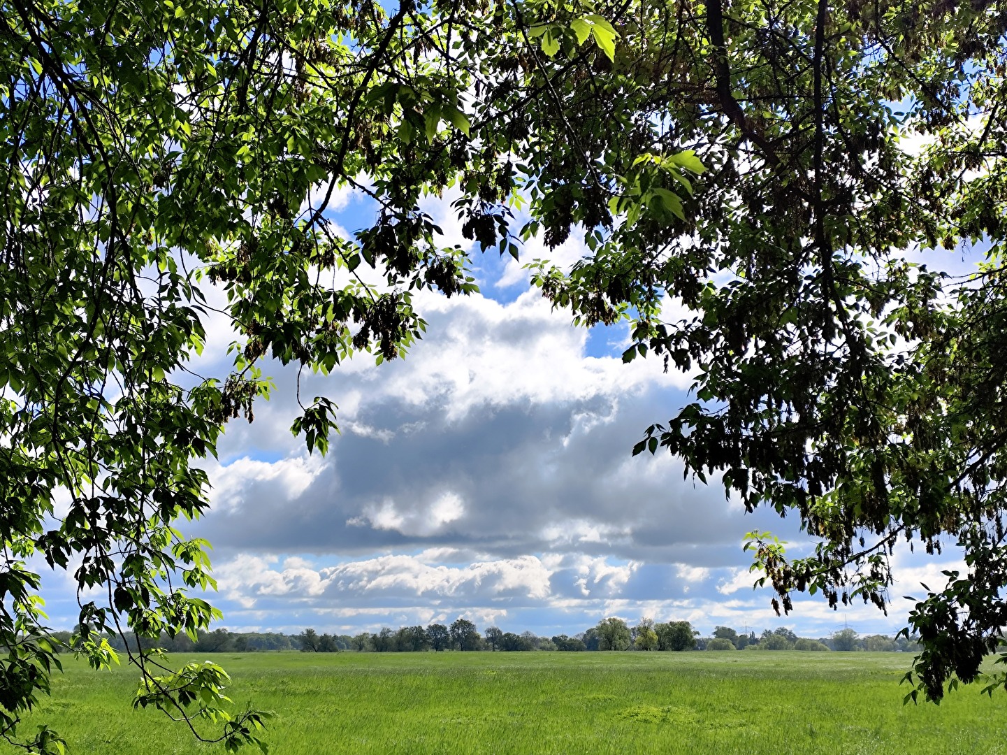Durchblick