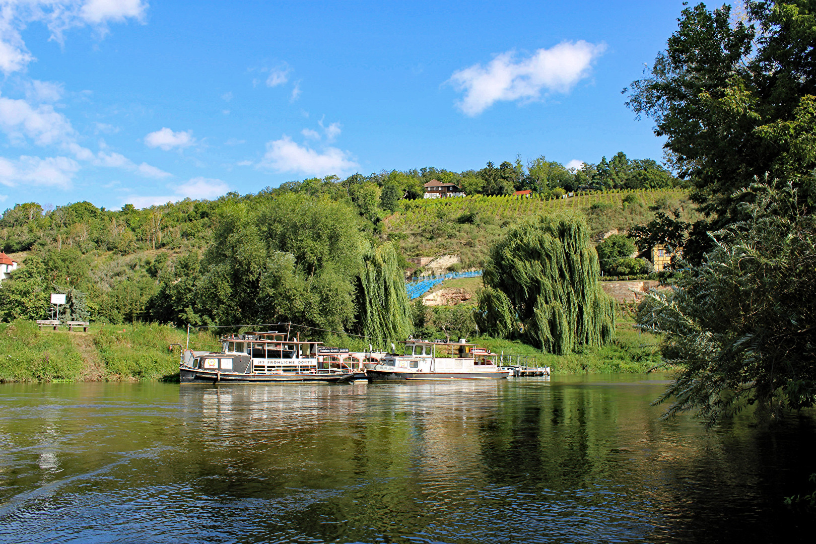 Fahrgastschiffe im Blütengrund bei Naumburg