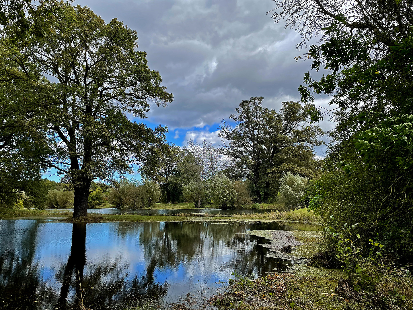 Fotorevier bald wieder begehbar