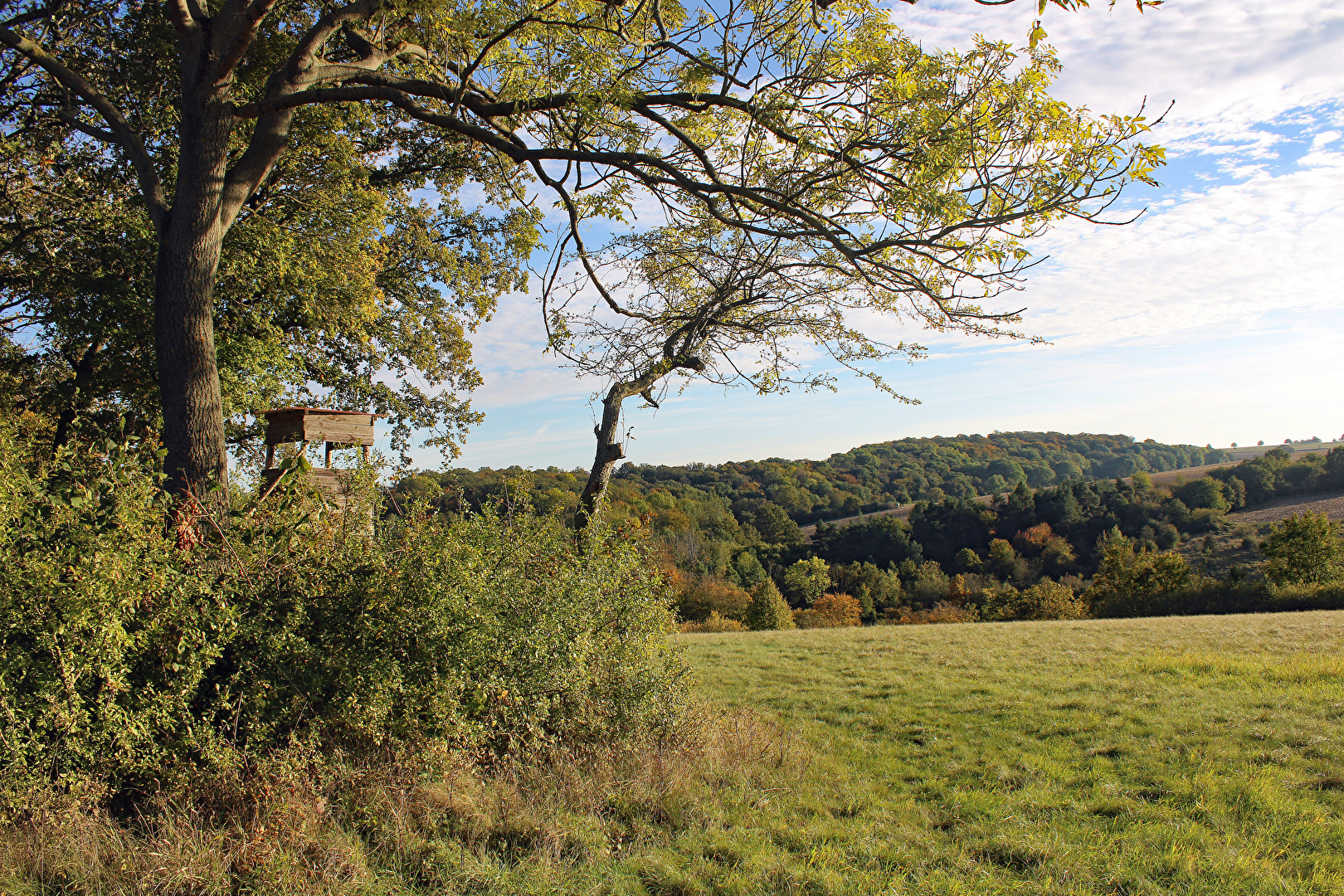 Ein Ansitz in der Herbstsonne