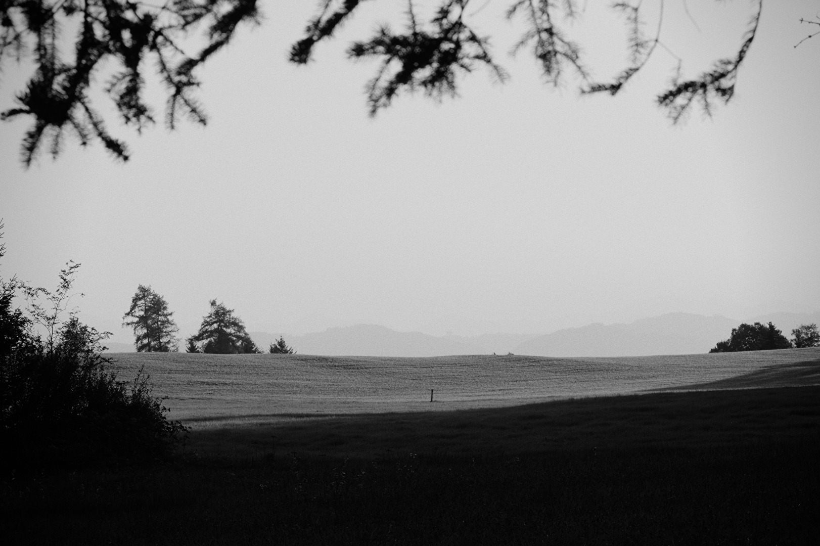 Gray Feelings #Melancholie