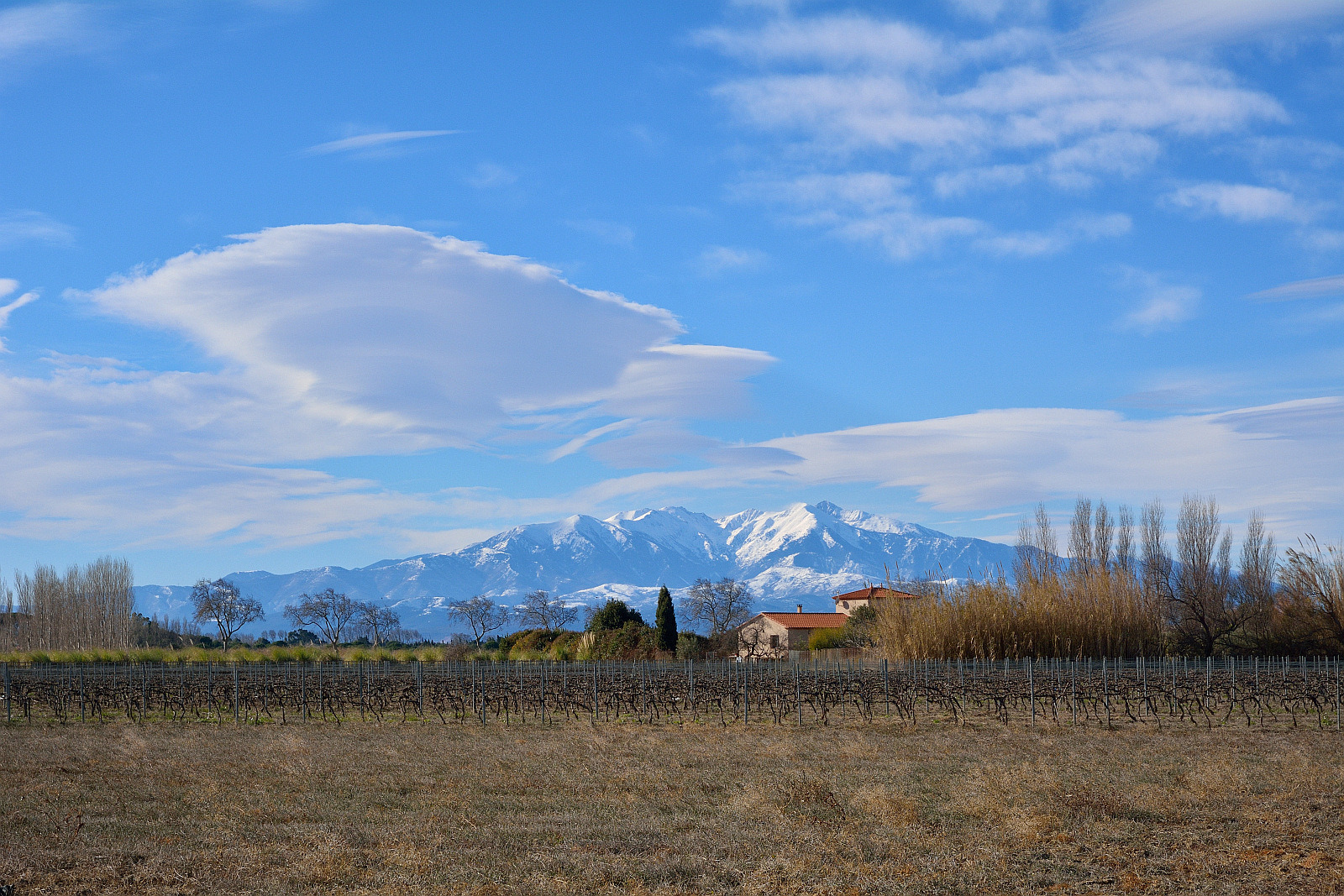 Der Canigou
