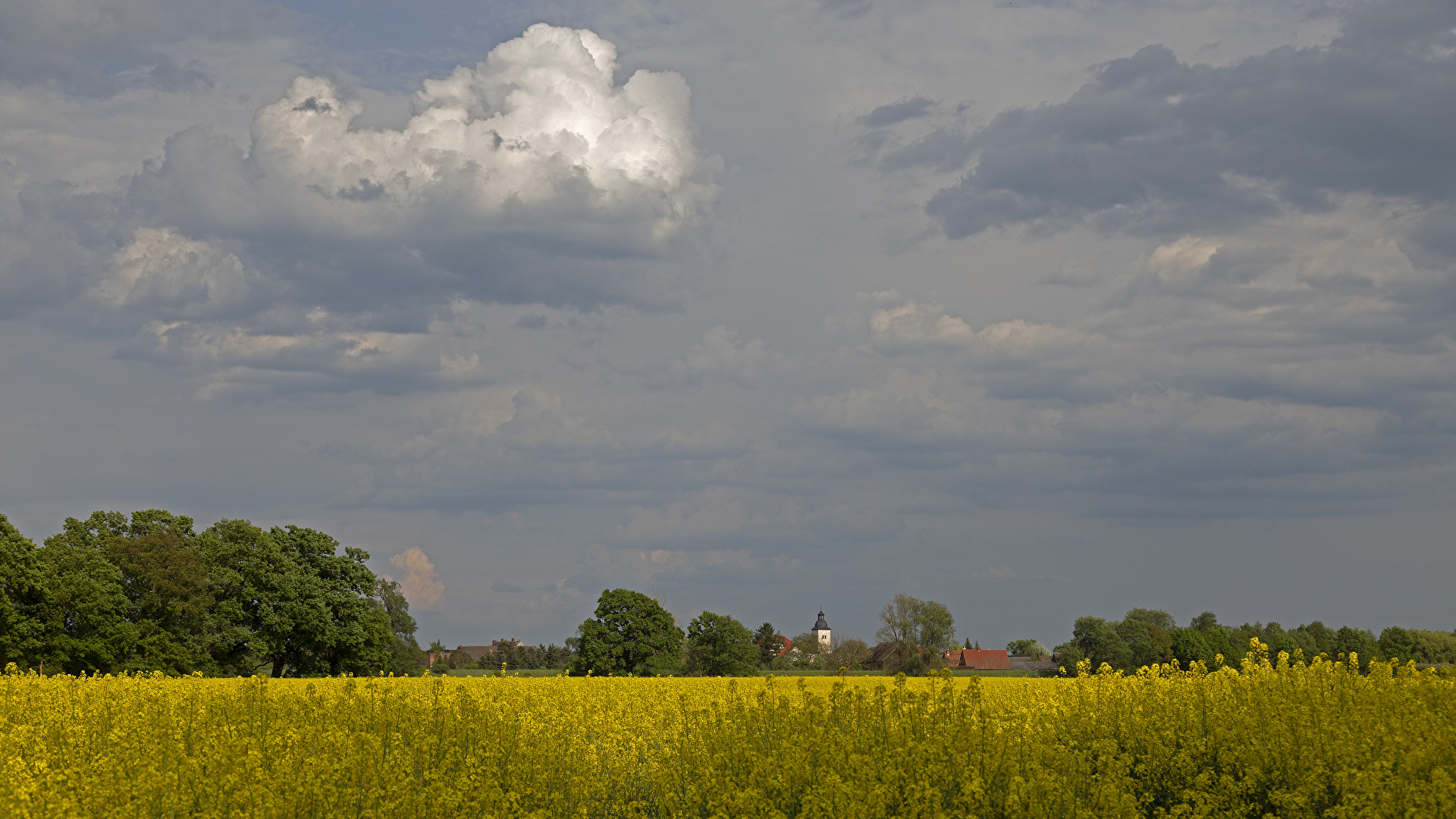 Ein typisches Knipsfoto