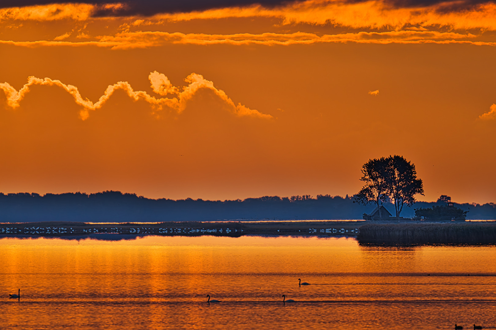 Sonnenaufgang im Zingster Bodden
