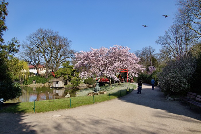 Das Wetter im Park genießen