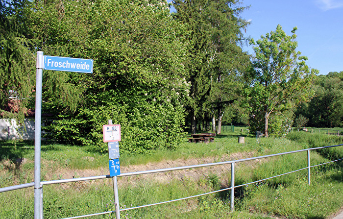 Straßenschild (1) , Froschweide