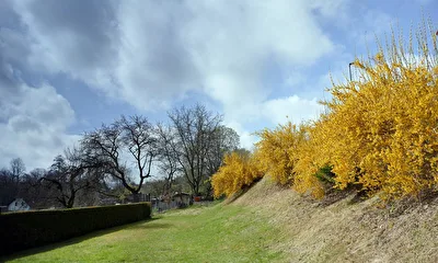 Farbkontrast im Frühling