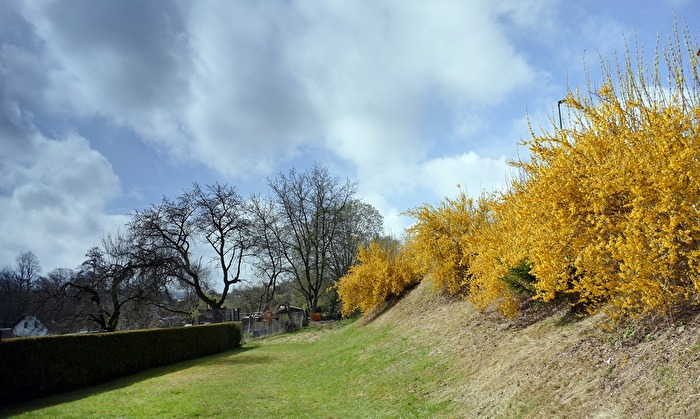 Farbkontrast im Frühling