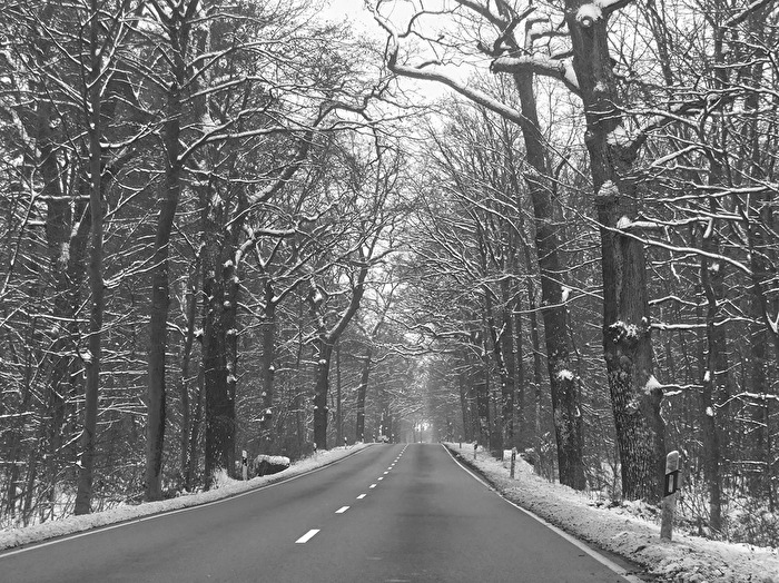 Landstraße im Winter