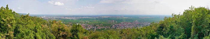 Ausblick vom Hambacher Schloss