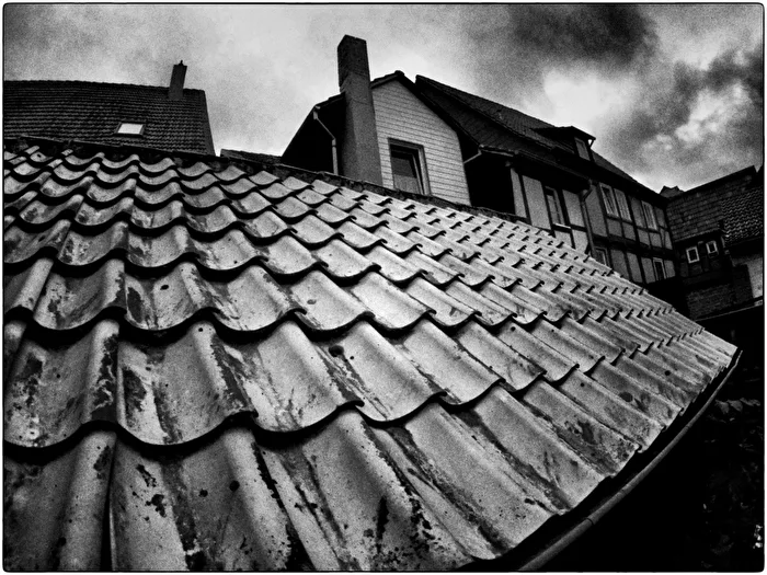 Backyard Roof