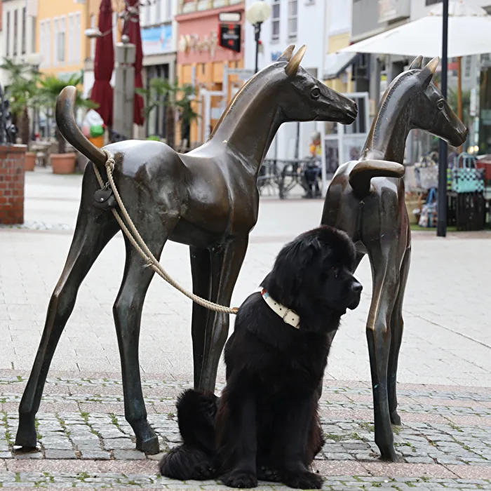 Dog Owner